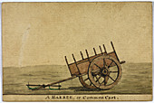 A Hakree,or Common Cart