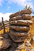 Limestone rocks of El Torcal