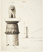 Capital of the lion pillar at Basarh
