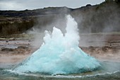 Geyser erupting,Iceland