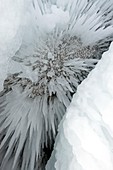 Cave icicles,Lake Baikal,Russia