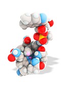 Methylcobalamin,vitamin B12 molecule