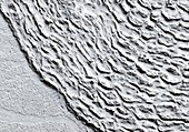 Lava formation on Mars