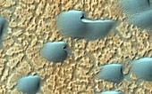 Martian sand dunes,satellite image
