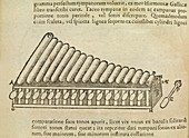 Xylophone,17th century