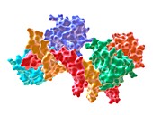 RNA polymerase alpha C-terminal domain