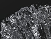 Graphite specimen,macrophotograph