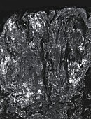 Graphite specimen,macrophotograph