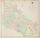 New Forest region in Southampton