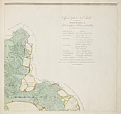 A detailed survey map of the New Forest