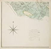 A detailed survey map of the New Forest