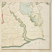 A detailed survey map of the New Forest