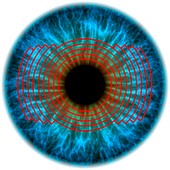 Biometric eye scan