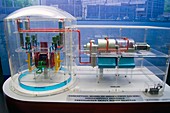 Pressurised heavy-water reactor model