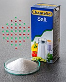 Table salt and its molecular model