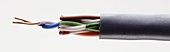 Electrical cable with multi-coloured wire