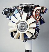 V12 petrol engine