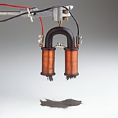 Electromagnet attracting iron filings