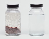 Clear jar of liver in liquid