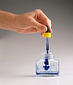 Adding blue ink to bottle of hot water