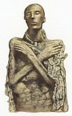 Mummy of King Seti I