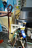 Toxicology hospital ward equipment