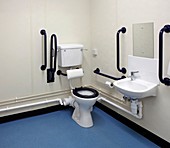 Disabled washroom and lavatory
