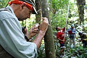 Cocoa tree pathogen research