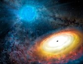 Wolf-Rayet star and black hole,artwork