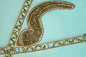 Spirostomum protozoan,light micrograph