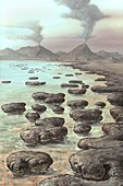Stromatolites,artwork