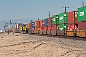 Cargo container trains