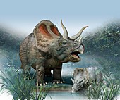 Triceratops old and young,artwork