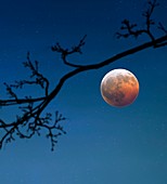 Total lunar eclipse,composite image