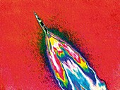 Saturn V rocket,coloured image