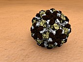Norovirus particles,artwork