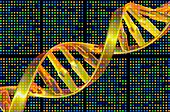 DNA microarray and double helix