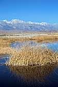 Owens lake,California,USA