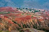 Red soil farmlands in Dongchuan district