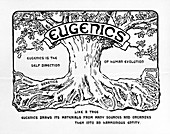 International eugenics logo,1921