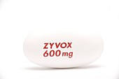 Zyvox antibiotic tablet