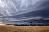 Thunderstorm over field,Colorado,USA