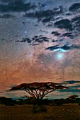 Night sky over Kenya