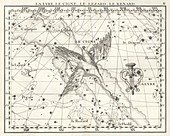 Cygnus constellation,artwork