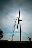 Wind turbine assembly