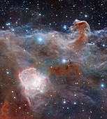 Horsehead nebula,infrared VISTA image