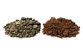 Samples of garden soil and peat