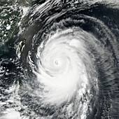 Typhoon Neoguri,2014