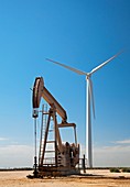 Oil pump and wind turbines