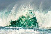 Huge wave crashing against the shoreline